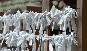 Temple of the red gates in Kyoto